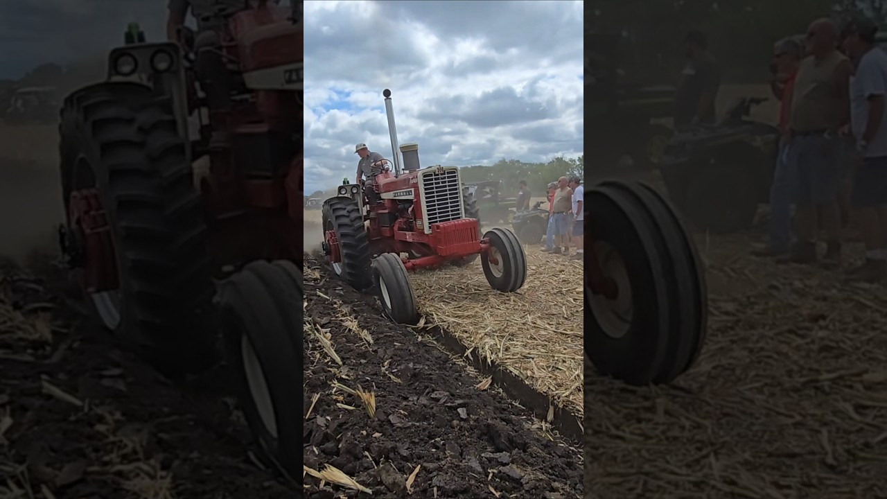 Straight Red Muscle Tractors Plowing at HCOP! 