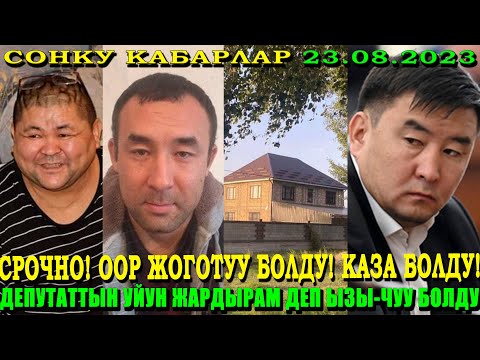 Video: Жоготуучу ким?