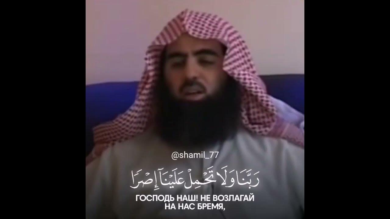шейх люхайдан. люхайдан мульк. люхайдан мульк. красивое чтение корана люхайдан. чтец люхайдан.