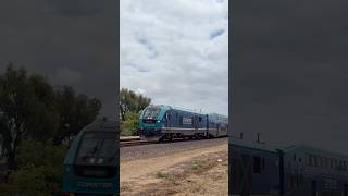 Coaster 675 arrives at Carlsbad village! #nctdcoaster #train #railfan #railroad #railway #railtrack