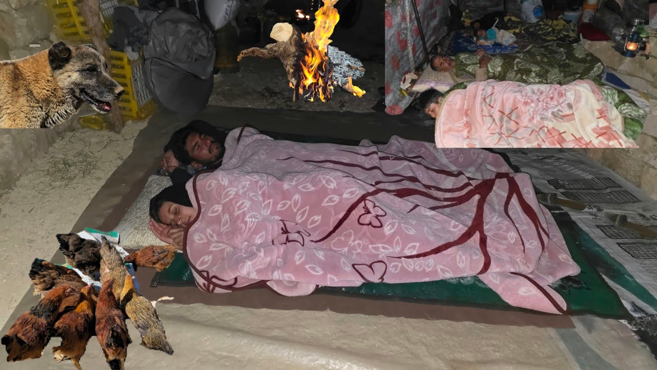 🌃⛺️ИРАНСКАЯ кочевая жизнь: Прекрасная ночь в кочевой палатке в Загросе🌙 | Жизнь кочевого пастуха🏕️
