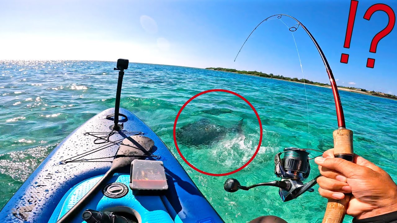【離島sup釣り】大物連発で竿がブチ曲がる