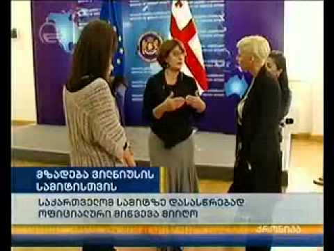 მზადება ვილნიუსის სამიტისთვის