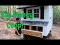 Building the perfect back yard chicken coop. fun farm project, the kids will love.