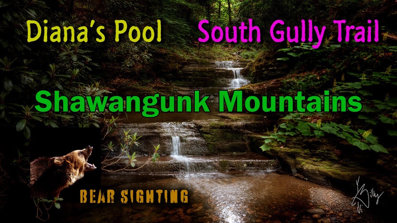 Diana's Pool on South Gully in the Shawangunk Mountains (Bear Sighting!)