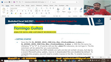 Geïllustreerde Excel 365/2021 | Modules 9-12: SAM Capstone Project 1a | Flamingo Guitars