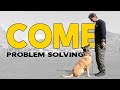 How to Teach Your Dog COME when Called Perfect RECALL - Online Dog Training Video