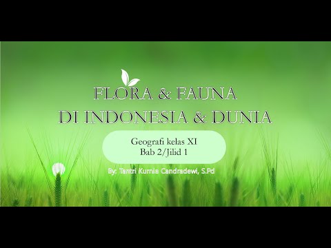 Video: Siapa yang dimaksud dengan bioma?