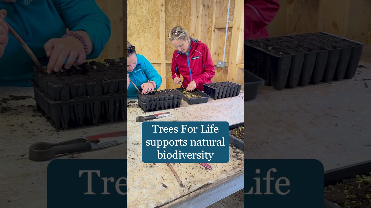 Big changes have small beginnings 