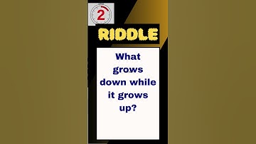 Top 10 Riddles to Challenge Your Brain!😮 #RiddleChallenge #MindBendingRiddles