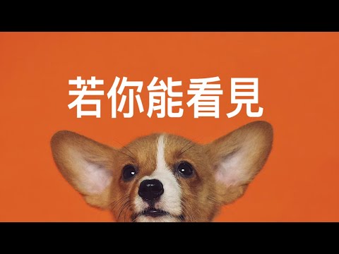 【若你能看見】If You Can See (Cantonese song)