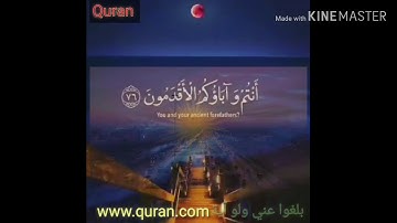 قال أفرأيتم ماكنتم تعبدون بصوت القارئ إسلام صبحي
