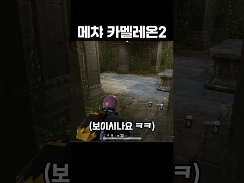 메챠 카멜레온2