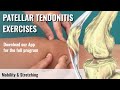 Patellar Tendonitis Exercises (Jumper&#39;s Knee)