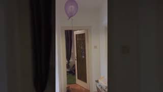 Lustig Kater Spielt Mit Luftballon