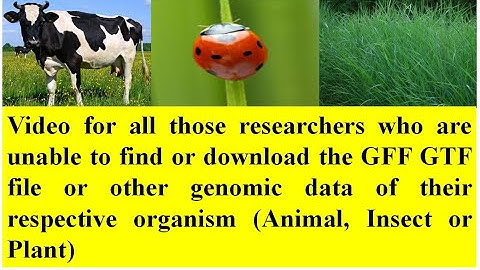 How to find the GFF GTF file and sequence data of different organisms from NCBI