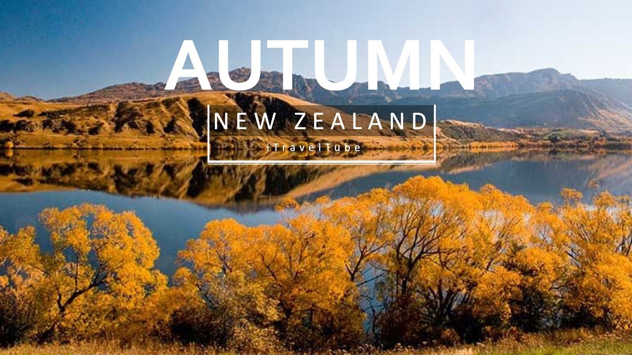 Stunning Autumn in New Zealand - YouTube