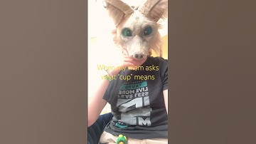 It means nonbianary btw #codeword #furry #lgbtiq #kandi