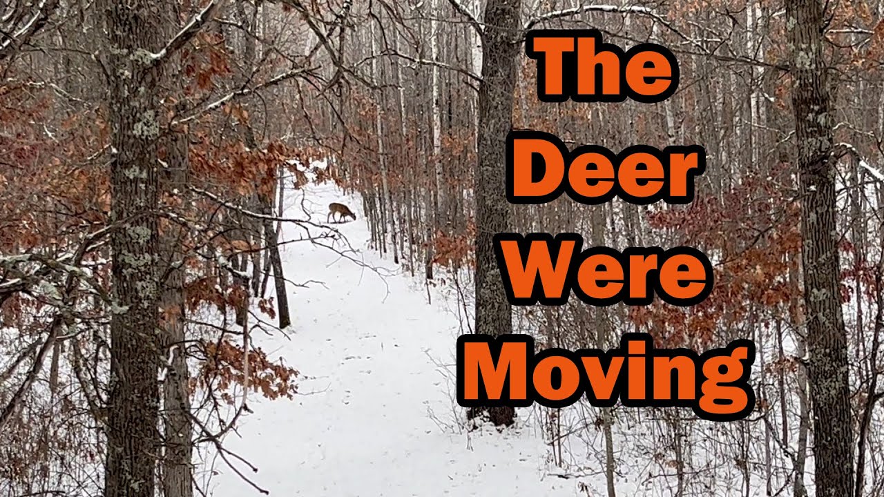 Wisconsin 9 Day Deer Season Opener Morning! DAY One EP.1 YouTube