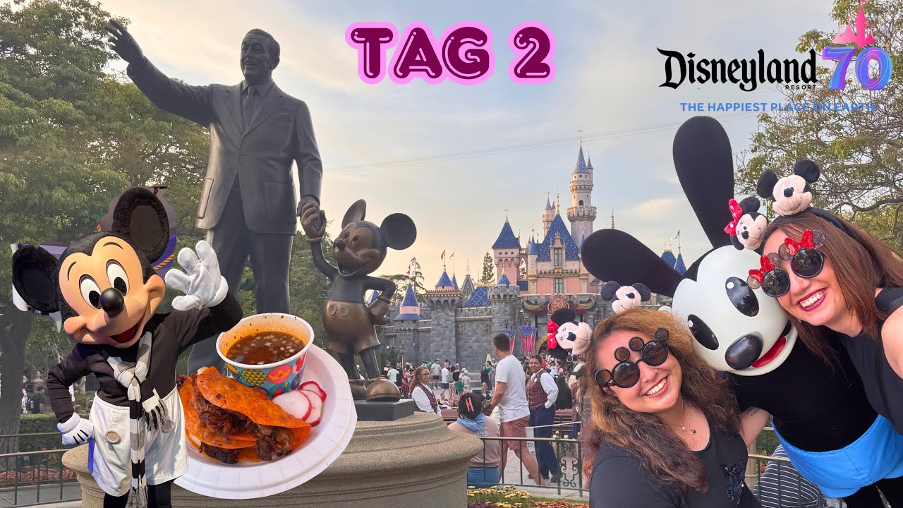 Disneyland Anaheim Vlog Tag 2 ✨ Charakter-Highlights, „Paint the Night“ & Skyline Terrace-Flop!