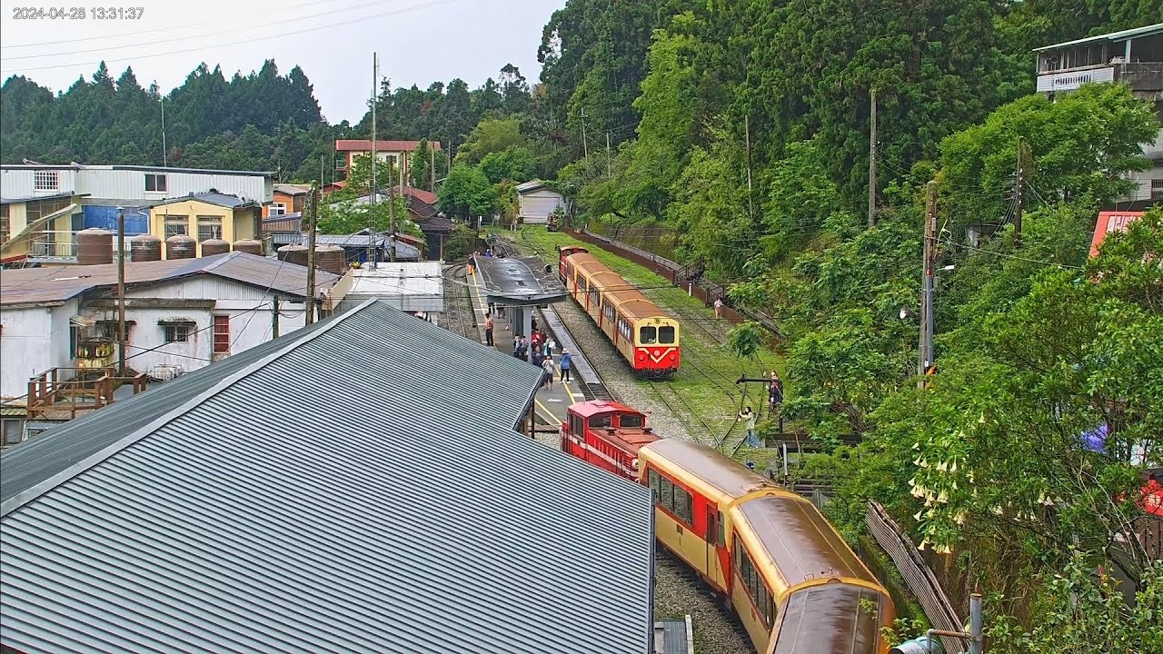 6次 阿里山號 進站 奮起湖 240428 YouTube
