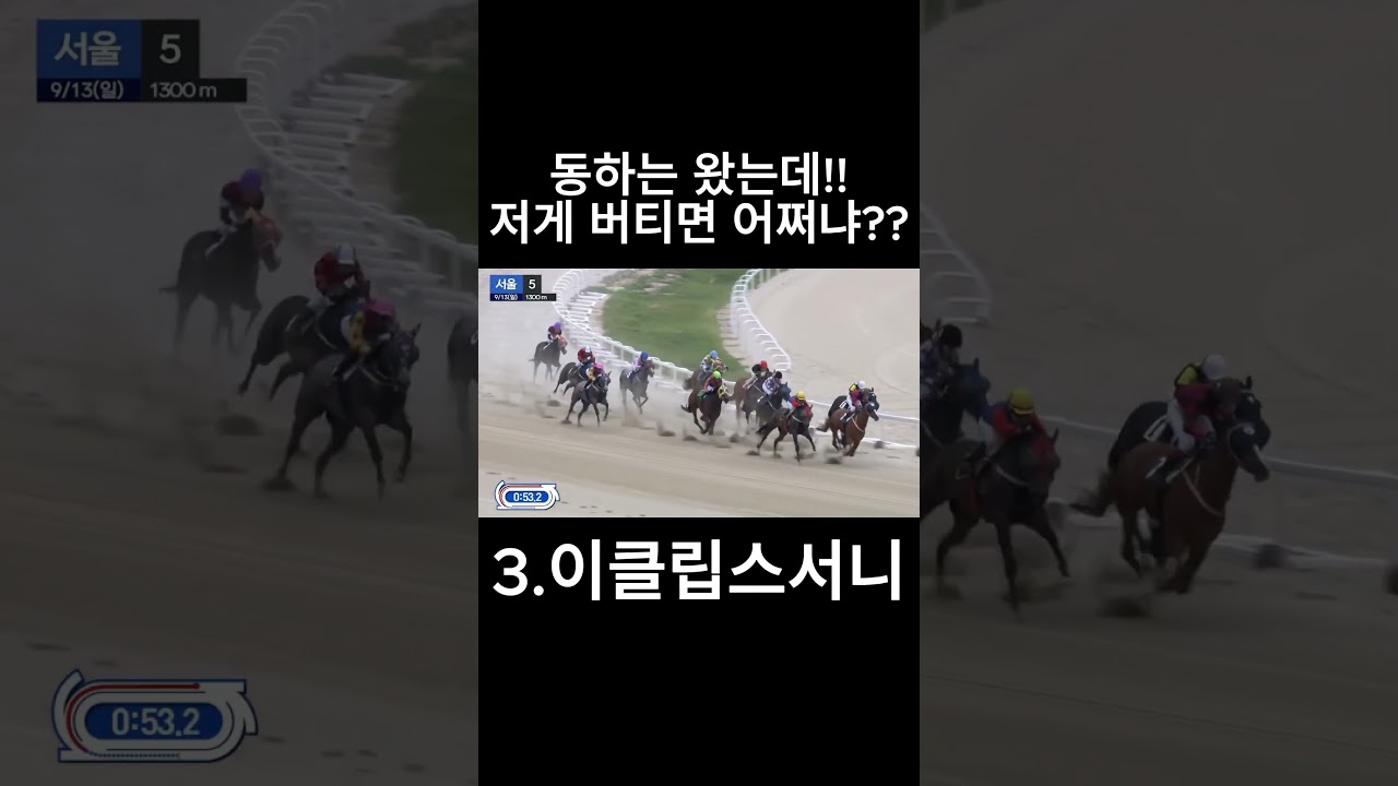 동하는 왔는데!!  저게 버티면 어쩌냐  #경마  #경마예상  #경마방송  #경마예상방송  #서울경마  #금요경마  #토요경마  #일요경마 #경마장