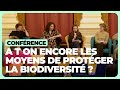 Protger la biodiversit  avec quels moyens 