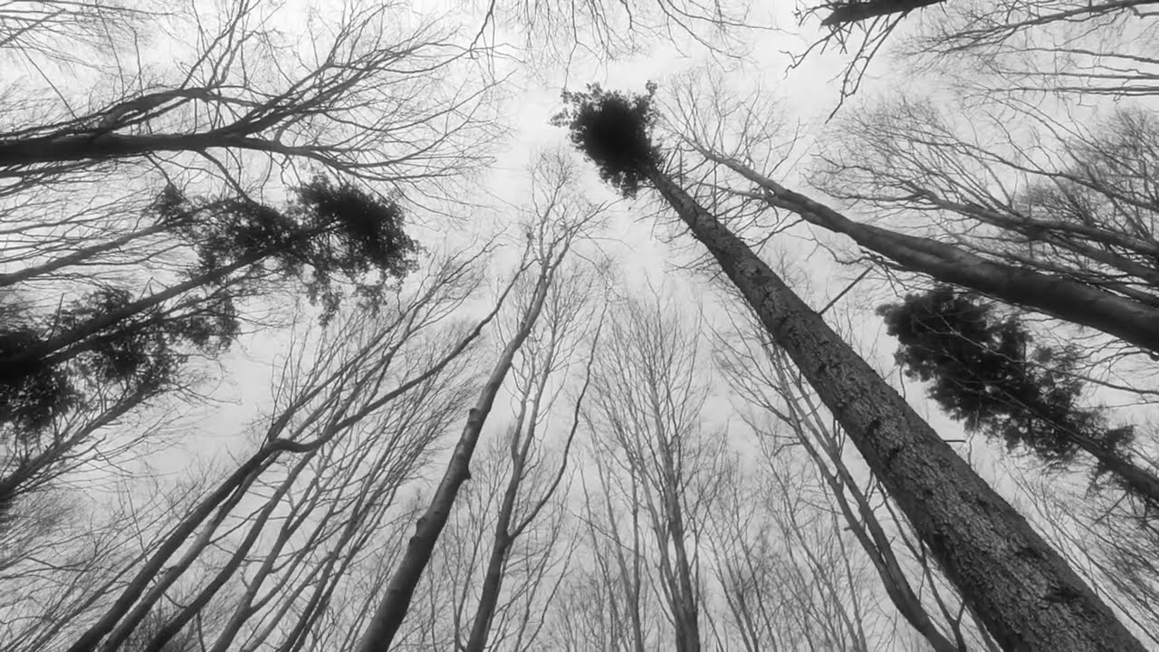 Nathan Kidd - Tears Fall (Official Video)