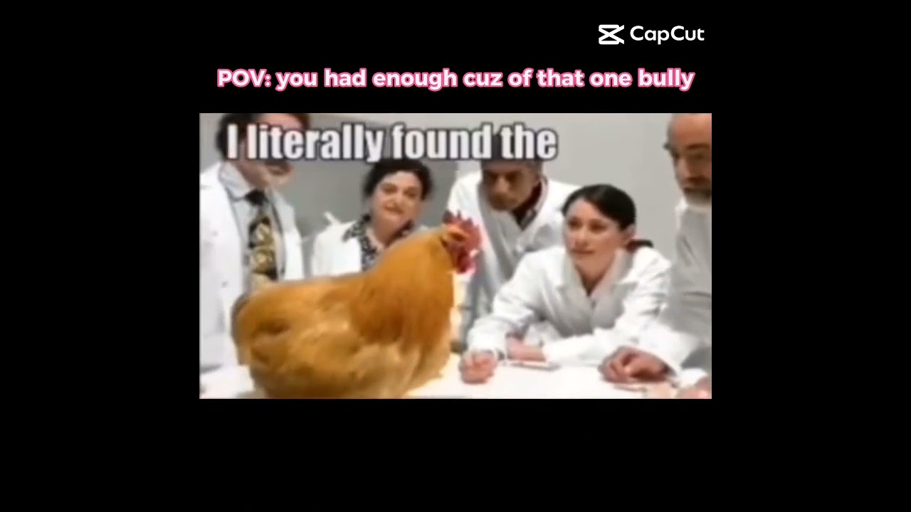 i roast the hack out of them😌👍