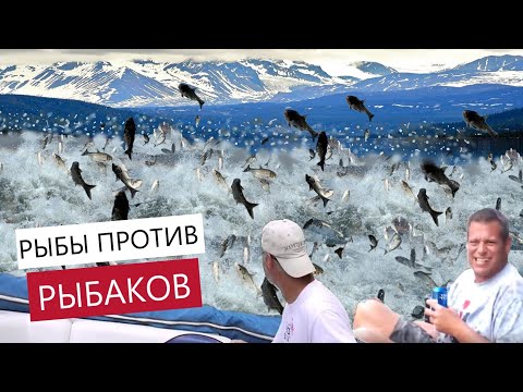 Необычная Рыбалка. Рыбы Прыгают В Лодку. Азиатский Карп, Бешеный Клёв. Приколы На Рыбалке