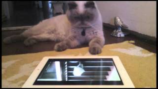 Winston watches himself on an iPad