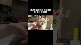 고양이 좋아하는 사람들은 다 아는 그 표정 | #귀여운영상 #고양이 #cat #cute #먼치킨 #짱구아브이로그