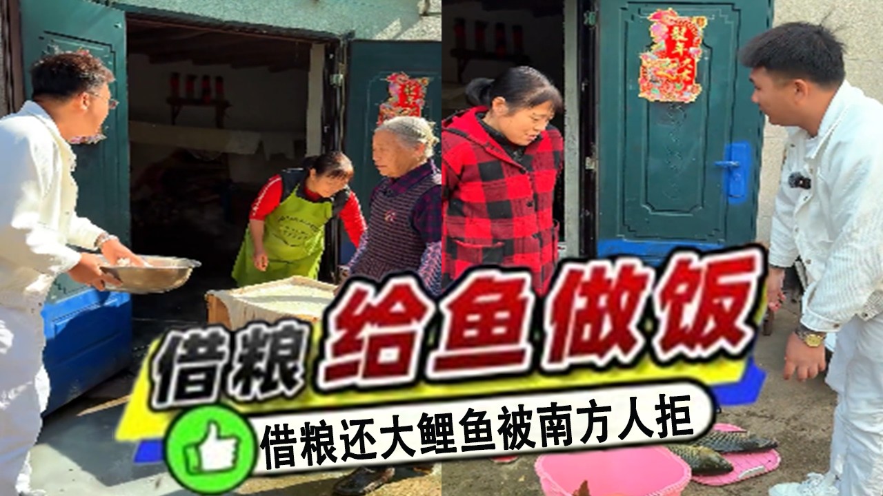 借糧食還鮮活大鯉魚，沒想到南方人壓根不吃#吳天宇在路上#2026dou來釣#dou是釣魚人#總要出門釣壹次魚吧