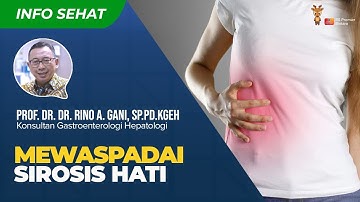 Sirosis Hati; Gejala, Penyebab, dan Penyembuhan.