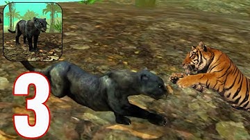Wild Panther Sim 3D - Gameplay Walkthrough Part 3 - Hunting Tigers (iOS, Android)
