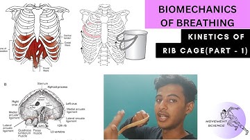 RIB CAGE KINETICS PART 1 - DIAPHRAGM FUNCTION  (BIOMECHANICS OF THORAX )Physiotherapy Tutorial