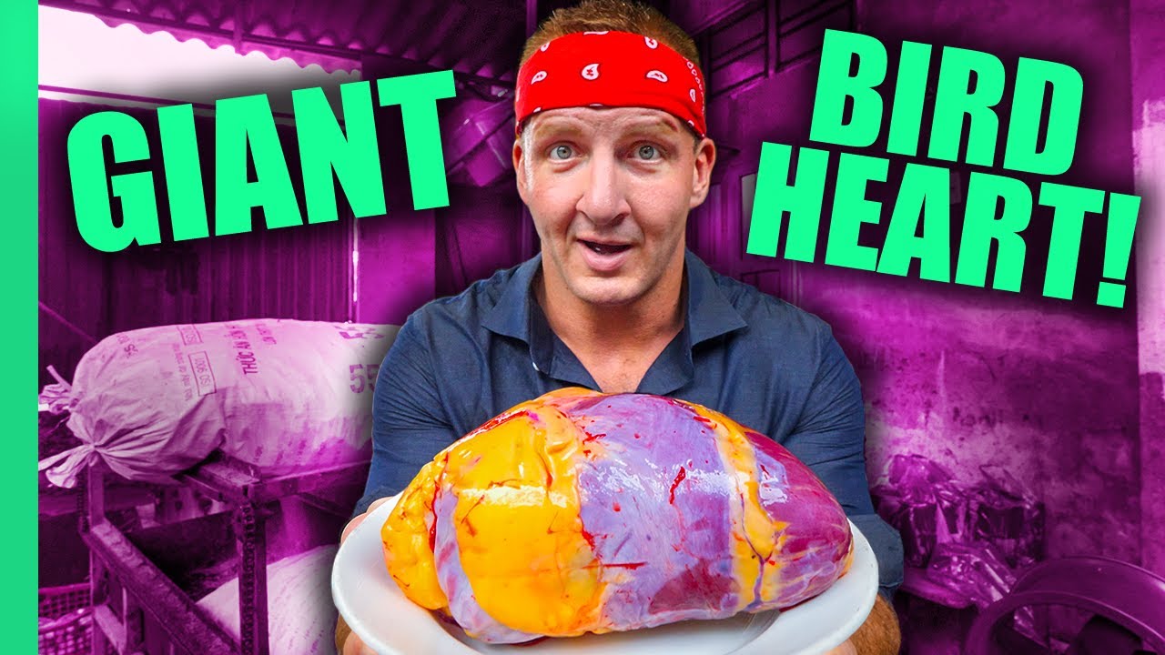 ⁣Can You Eat That?? World’s STRANGEST Animal Organ Dishes!! | Full Series (Sonny & Calvin)