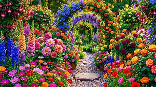 Step Into a Beautiful May Garden 2026 🌿 Discover Colorful Flowers and Relaxing Nature Views