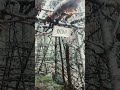las  10 mejores cabañas de Pirineos franceses (2025)(parte 6) Ganadora 🏆