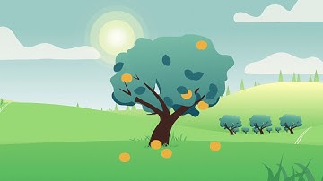 Phytech explainer onboarding #1 Introduction