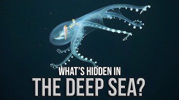 Why Do We Know More About Space Than Our Own Oceans?