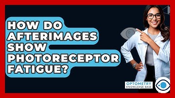 How Do Afterimages Show Photoreceptor Fatigue? - Optometry Knowledge Base