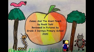 James and the Giant Peach Project Reviewed by Grade 2 Derinya Students in 2020