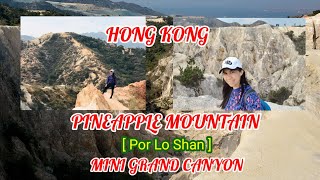 PINEAPPLE MOUNTAIN  |  HOW TO GET THERE | HIKE | PART 1
