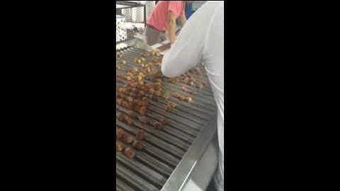 Saudi Arabia Golden dates grading machine