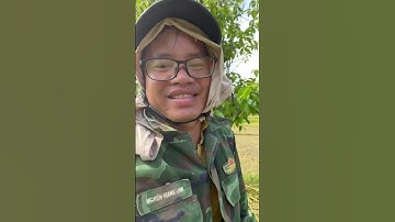 Ra đồng cùng với bà con // Một trải nghiệm thú vị - dịp nghỉ lễ - tronpiu vlog #shorts