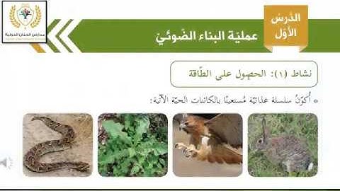 الصف السادس/العلوم والحياة/عملية البناء الضوئي/مس ليلى كنعان