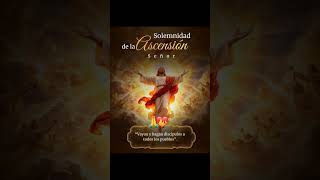 "El mismo Jesús volverá como lo habéis visto ascender "🙏🏻✨ #jesusdenazaret