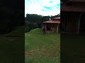 Como segue a rotina no campo, Estiva, MG