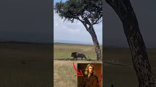 This lion is isaac newton
